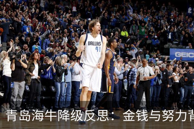 青岛海牛降级反思：金钱与努力背后的现实